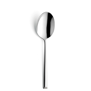 VIVENDI Serving Spoon 1-pieces Stainless