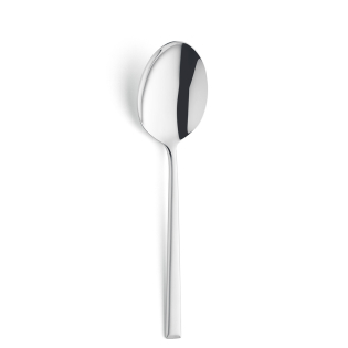 VIVENDI Serving Spoon 1-pieces Stainless