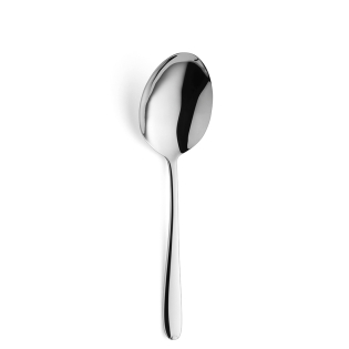 CULTURA Serving Spoon 1-pieces Stainless